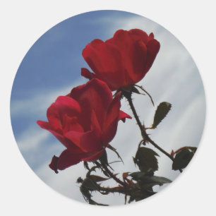 Red Roses Against a Bright Blue Sky Classic Round Sticker