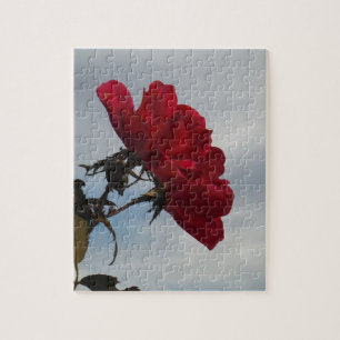 Red Roses Against a Bright Blue Sky Jigsaw Puzzle