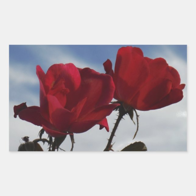 Red Roses Against a Bright Blue Sky Rectangular Sticker (Front)