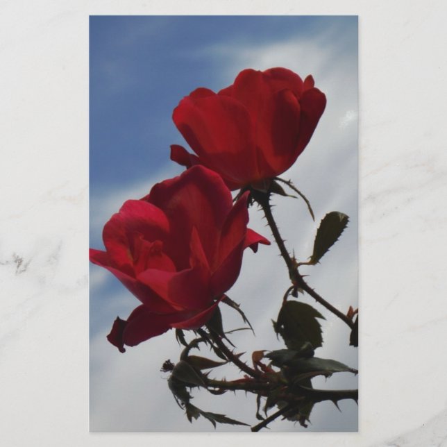 Red Roses Against a Bright Blue Sky Stationery (Front)
