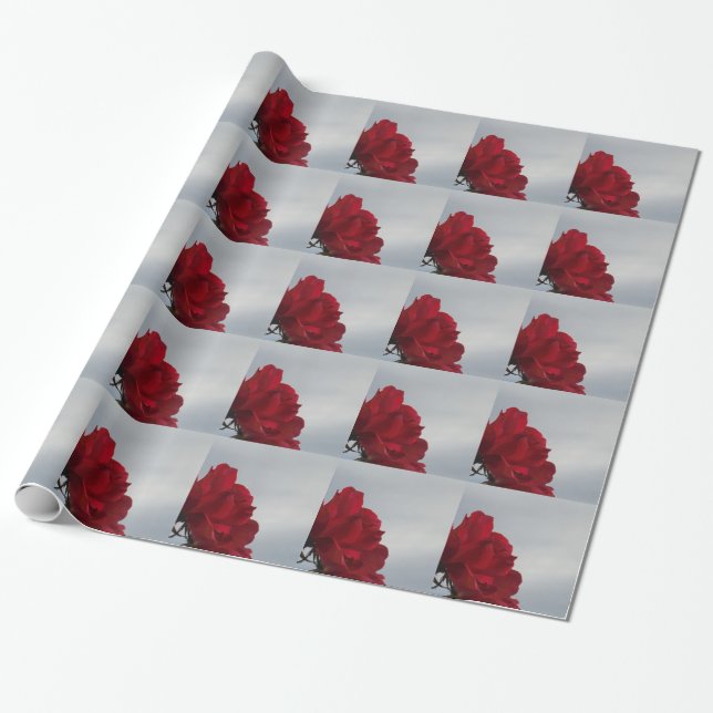 Red Roses Against a Bright Blue Sky Wrapping Paper (Unrolled)