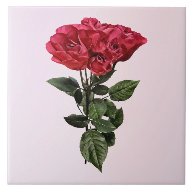 Red Roses and Leaves Ceramic Tile (Front)