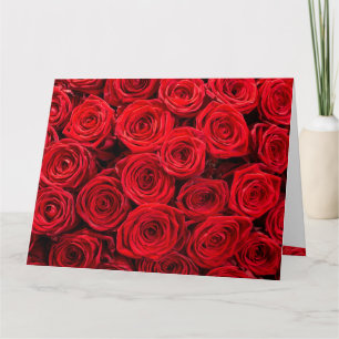 Red roses Birthday Card