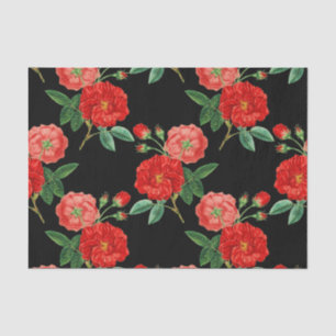 Red Roses, Black Background, Tissue Paper