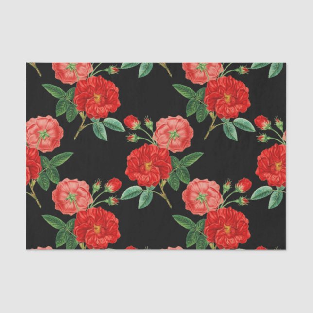 Red Roses, Black Background, Tissue Paper (Front)