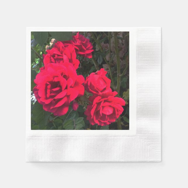 Red Roses Blooming  Napkin (Front)