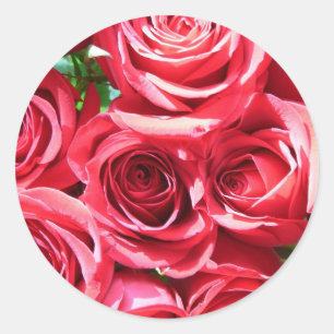 Red Roses Bunch stickers