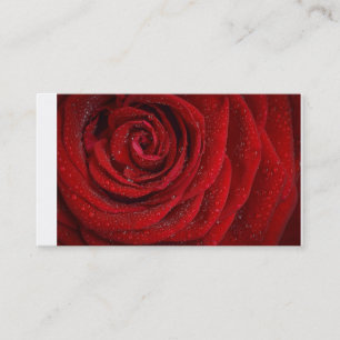 Red Roses Business Cards