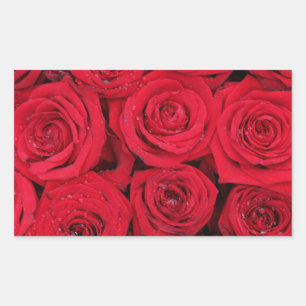 Red roses by Therosegarden Rectangular Sticker