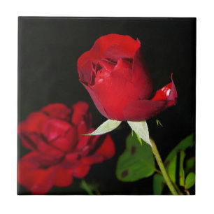 Red Roses Ceramic Tile