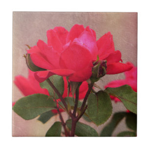 Red Roses Ceramic Tile