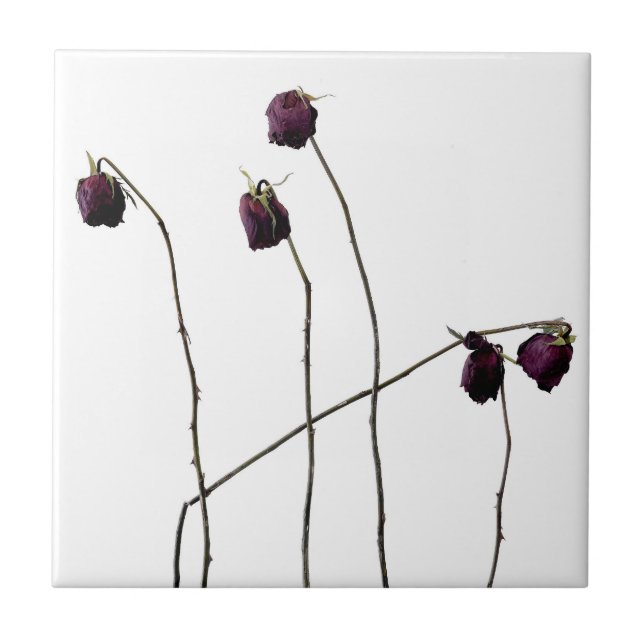 Red Roses Ceramic Tile (Front)