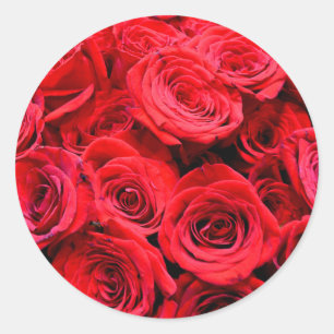Red Roses Classic Round Sticker