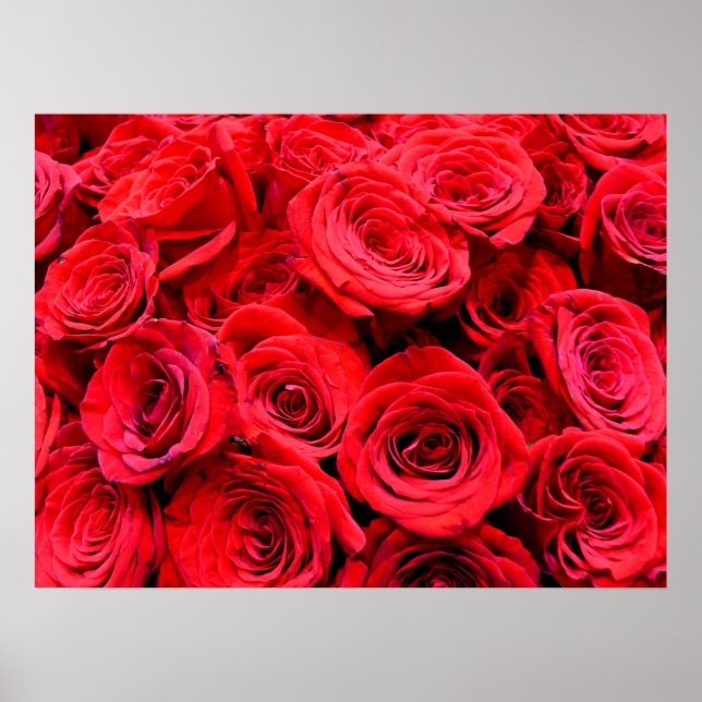 Red Roses | floral photo | elegant red flowers Poster (Front)