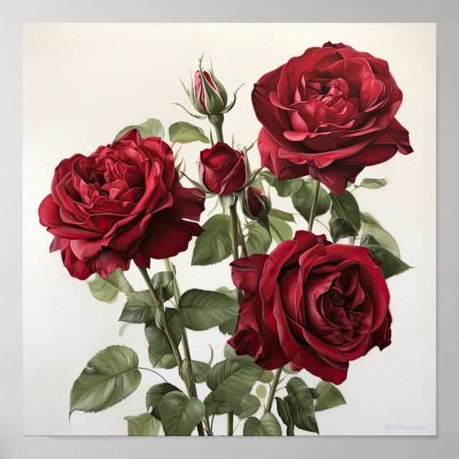 Red Roses Flower Art Print Poster (Front)