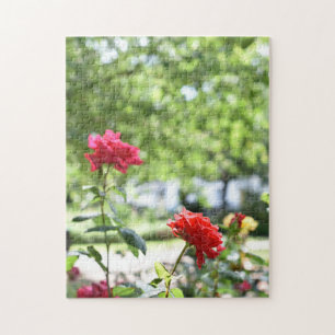 Red Roses Flower Nature Photography Garden Jigsaw Puzzle