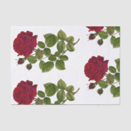 Red Roses Garden Tissue Paper 10"x15"