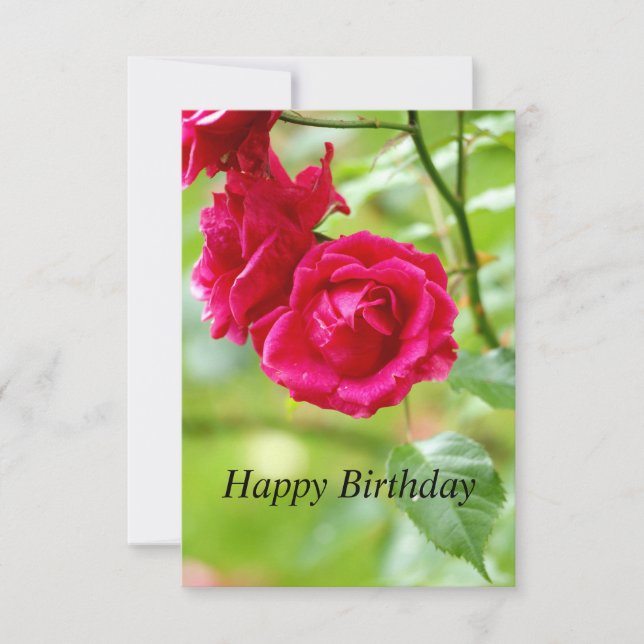 Red Roses Happy Birthday Card (Front)