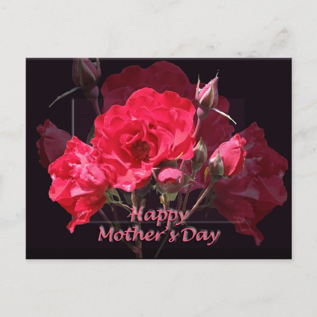 Red Roses Happy Mother's Day Postcard (Front)
