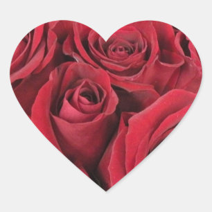 Red Roses Heart Stickers