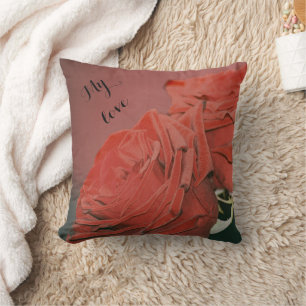 Red roses like velvet  cushion