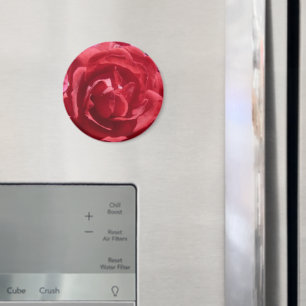 Red Roses Magnet
