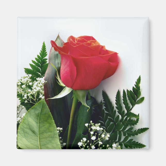 Red roses magnet (Front)