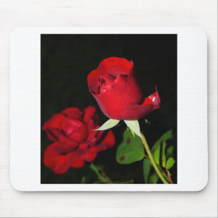 Red Roses Mouse Pad
