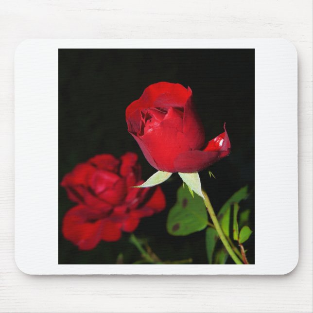 Red Roses Mouse Pad (Front)