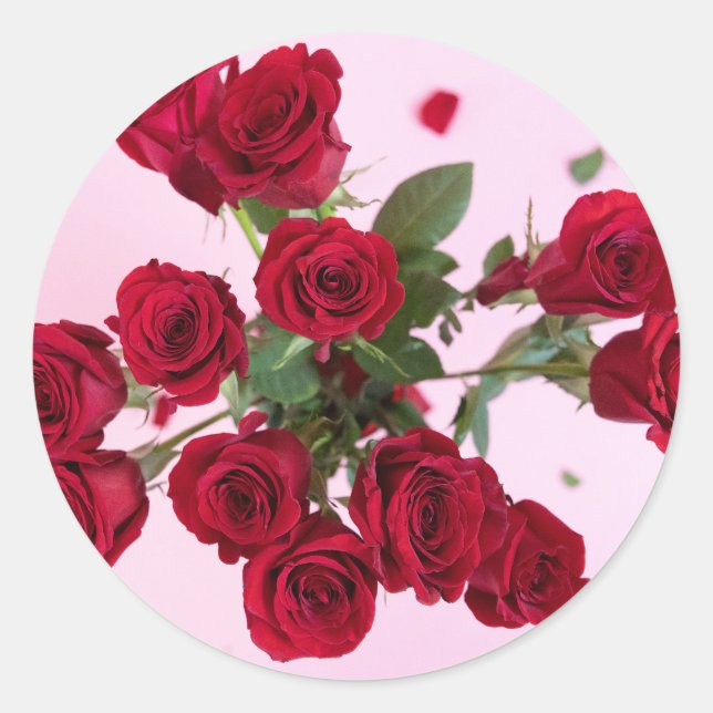 Red Roses on Pink Elegant Romantic Classic Round S Classic Round Sticker (Front)
