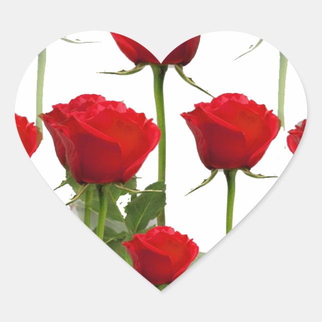 RED ROSES ON WHITE HEART STICKER (Front)