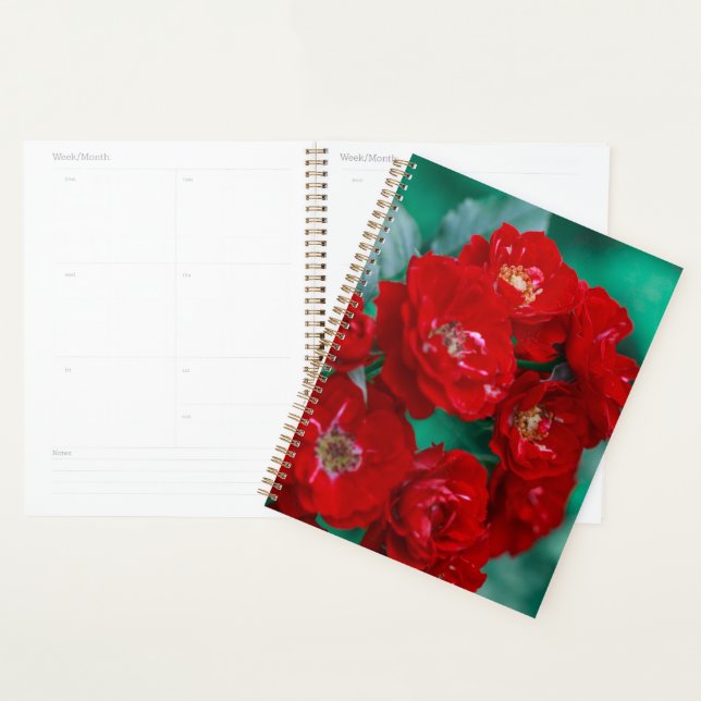 Red Roses Pale Green Leaves Planner (Display)