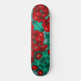 Red Roses Pale Green Leaves Skateboard