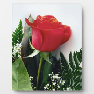 Red roses plaque