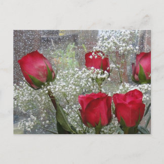 Red roses postcard