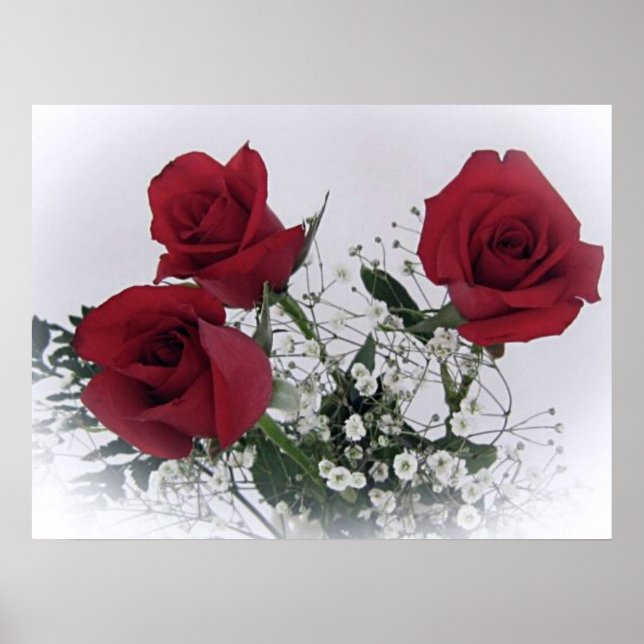 Red Roses Poster (Front)