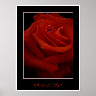 red roses poster