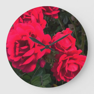 Red Roses Rosarium Large Clock