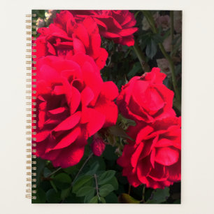 Red Roses Rosarium Planner