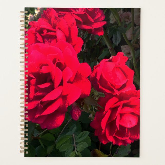 Red Roses Rosarium Planner (Front)