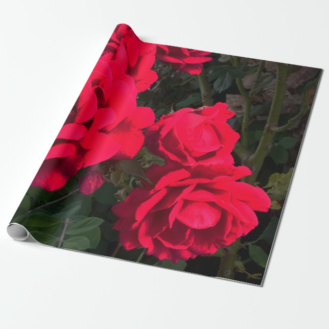 Red Roses Rosarium Wrapping Paper (Unrolled)