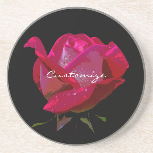 red roses Thunder_Cove Coaster