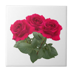 Red roses tile