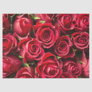 Red Roses Tissue Paper