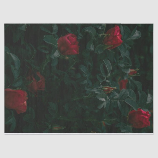 Red Roses Tissue Paper Decoupage Giftwrapping (Front)