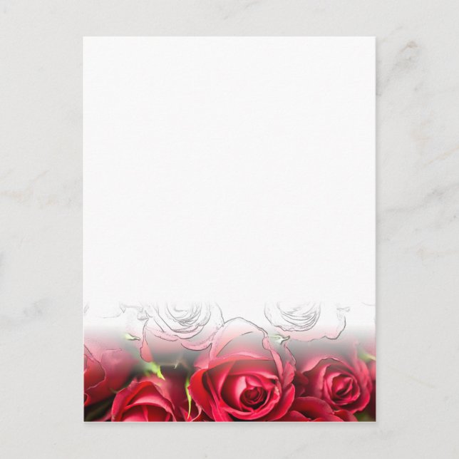 Red Roses With Black Outlines Postcard (Front)