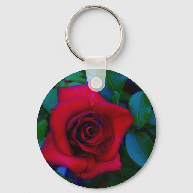 Red Roses with blue tones Key Ring (Front)