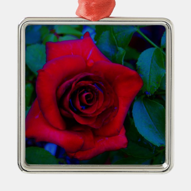 Red Roses with blue tones Metal Tree Decoration (Front)