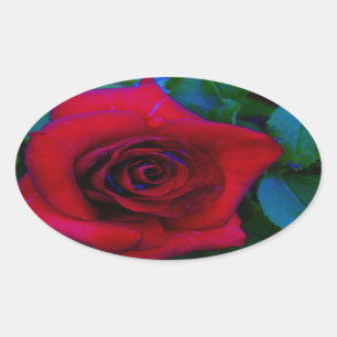 Red Roses with blue tones Oval Sticker