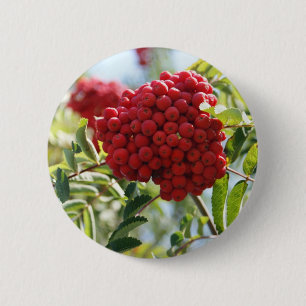 Red Rowan Berries 6 Cm Round Badge